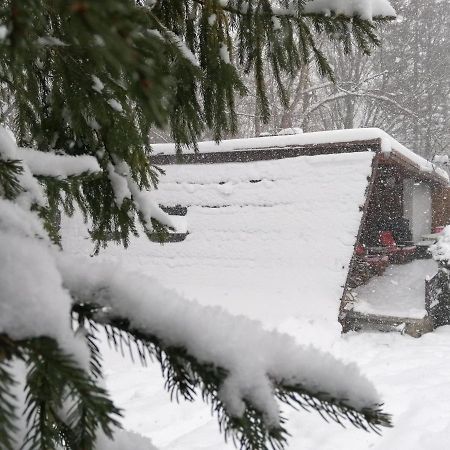 Chalpa Na Skarpie Villa Meszna Buitenkant foto