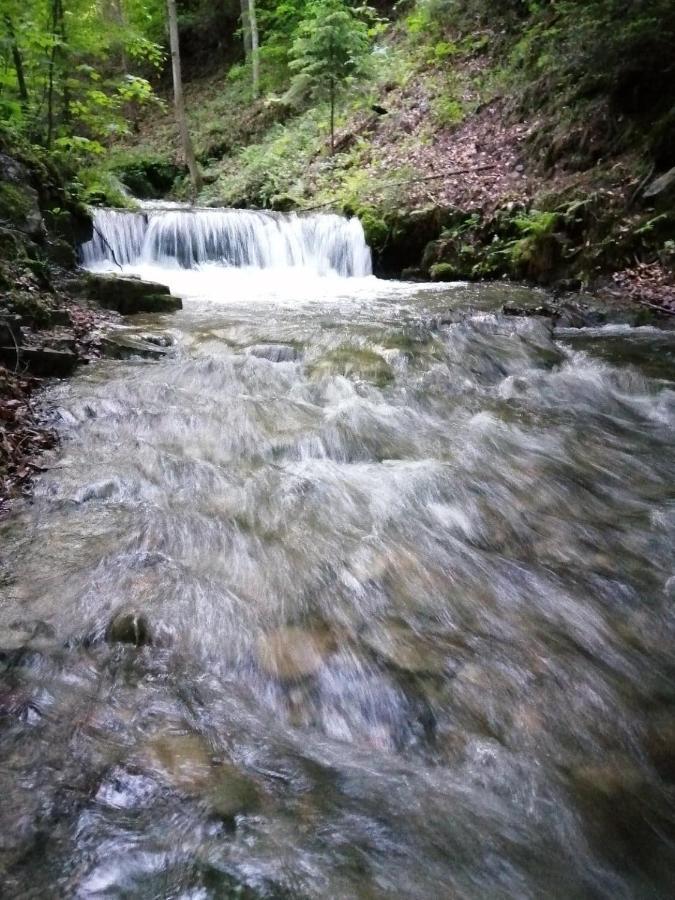 Chalpa Na Skarpie Villa Meszna Buitenkant foto