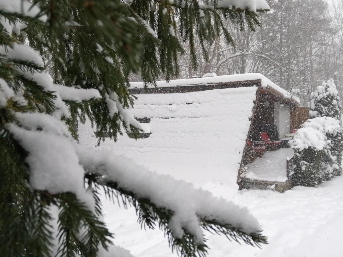 Chalpa Na Skarpie Villa Meszna Buitenkant foto